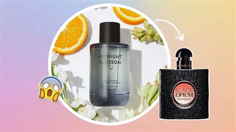 m&s perfume dupes list|m&co shopping online.